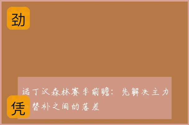 诺丁汉森林赛季前瞻：先解决主力与替补之间的落差